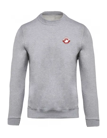 Crew neck grey sweater