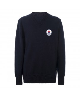 V-neck sweater male-fit in cotton - while stocks last