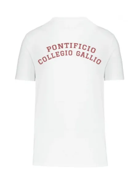 Short sleeved t-shirt white