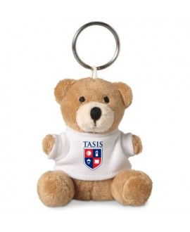 Teddy bear key chain