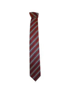 HS striped tie