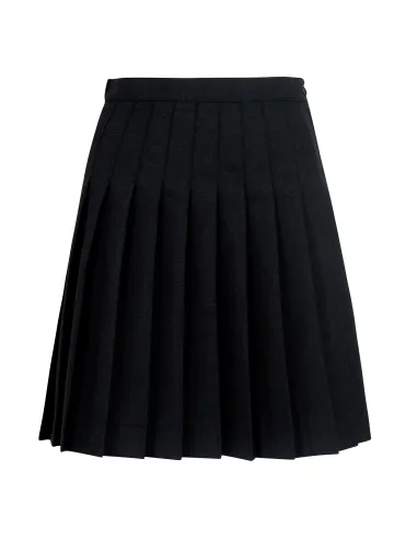 Pleated skirt