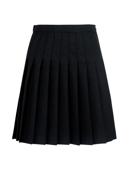 Pleated skirt