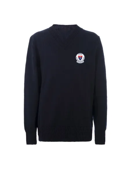 V-neck sweater male-fit in cotton - while stocks last